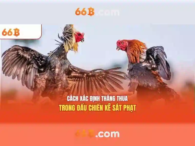 66B – Bí Quyết Chinh Phục Slot Game Đỉnh Cao 2026