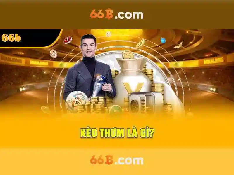 Trải nghiệm 66B App