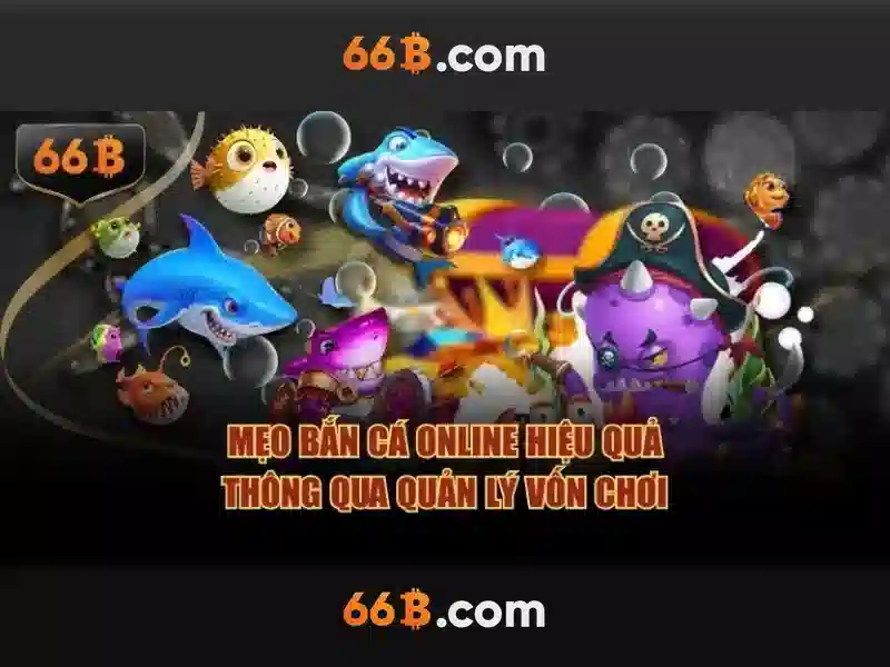 Hướng Dẫn Đăng Ký 66B