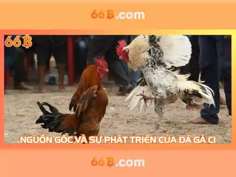 bảo mật tài khoản 66b