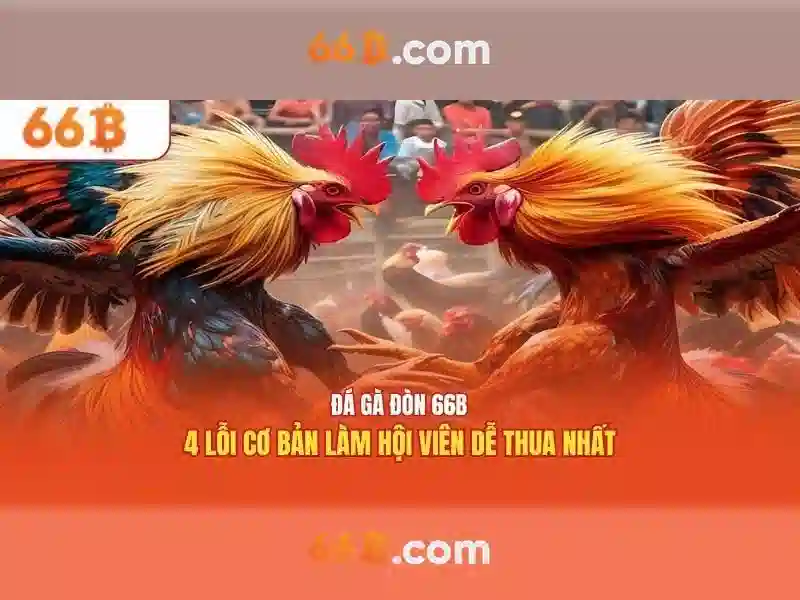 ưu đãi 66B