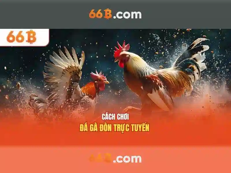 Ưu điểm tải 66B