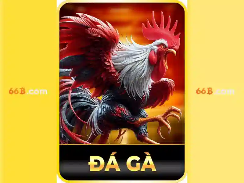 Chính Sách Bảo Mật – Cam Kết An Toàn Với Game Bài 66B