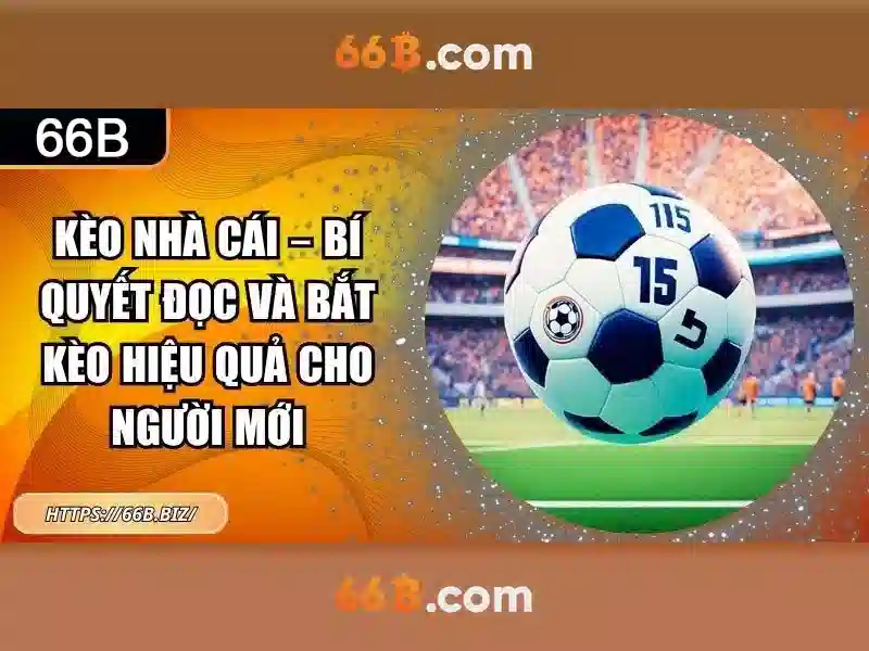Ưu Đãi Độc Quyền Cho Người Chơi 66B