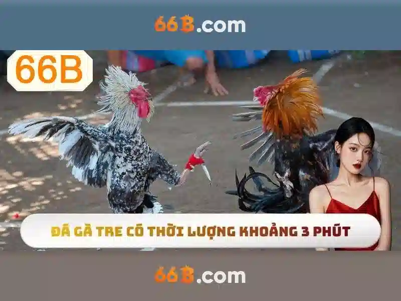 Hướng Dẫn Nhập Code 66B