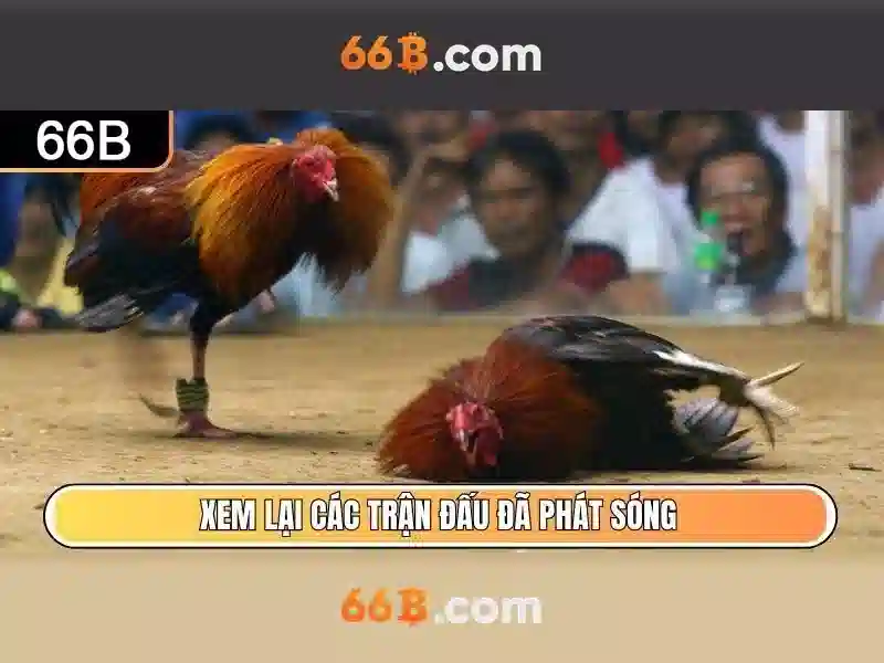 66B - Trải Nghiệm Bắn Cá 66B Thú Vị Nhận Thưởng Hấp Dẫn - Copyright © 2026