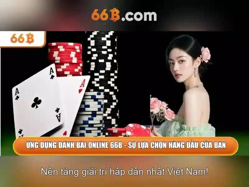 Dịch Vụ Hỗ Trợ 24/7 Tại Casino 66b