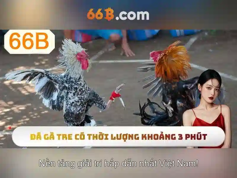 Cách Đăng Nhập 66B Mới Nhất 2026