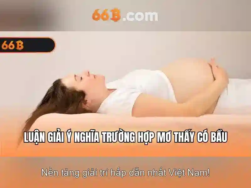 Điều Khoản Điều Kiện 66B
