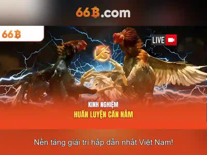 Bắn Cá 66B