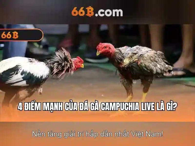 Đánh Giá 66B – Trang Chủ 66B Chính Thức Không Bị Chặn 2026
