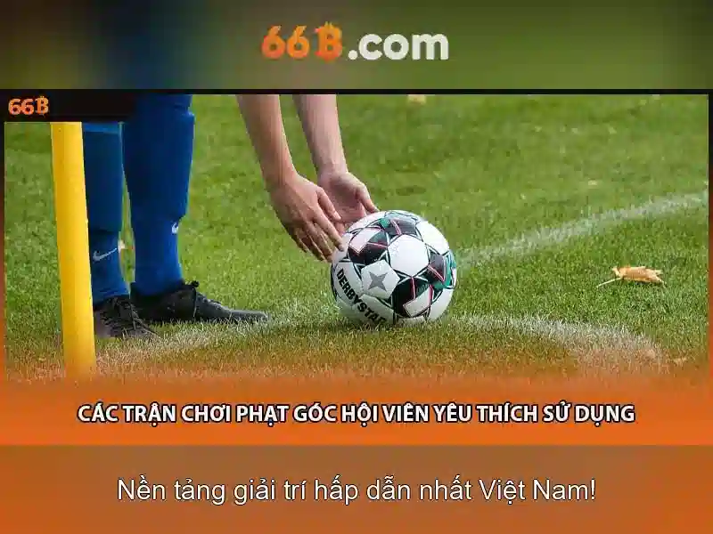 Tài Khoản 66B