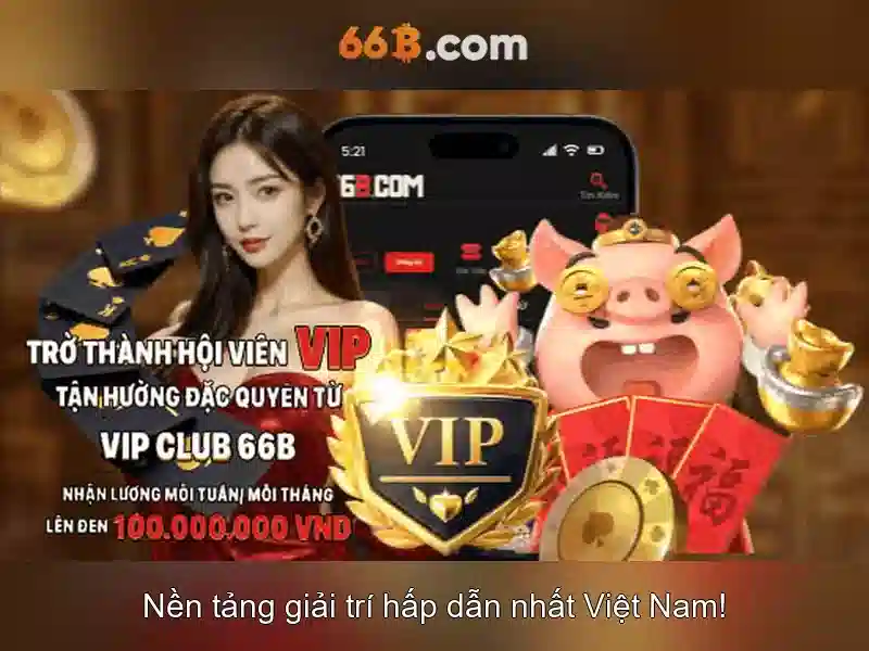 Cách Sử Dụng Nhập Code 66b