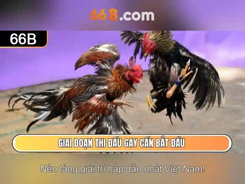 Đăng Nhập 66B