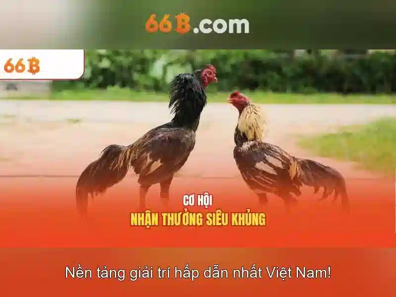Ưu Đãi 66B