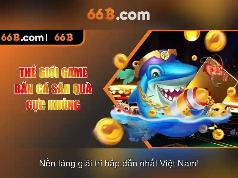 trải nghiệm 66B