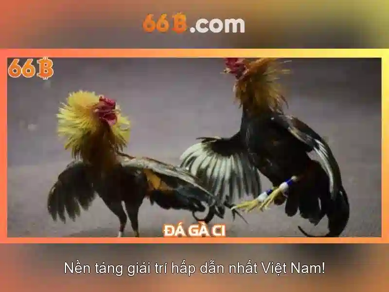 Ưu Đãi Slot 66B