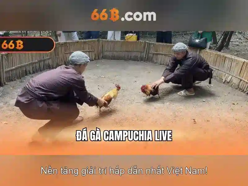 FAQ 888SLOT: Hỏi Đáp Thường Gặp Về Trải Nghiệm Chơi Slot 2026