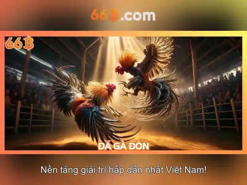 Quy Định Tài Khoản 66B