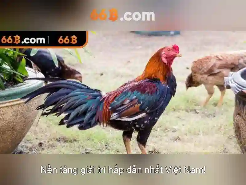 66B – Trải Nghiệm Lô Đề 66B Độc Quyền 2026