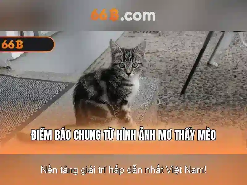 Tags Nổi Bật 66B