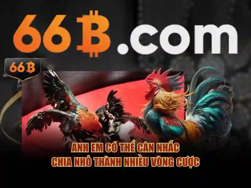 Tải 66B – Ứng Dụng Slot Trực Tuyến Đỉnh Cao