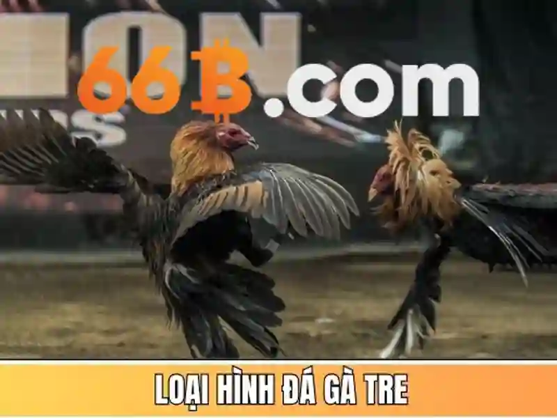 Khuyến Mãi 66B