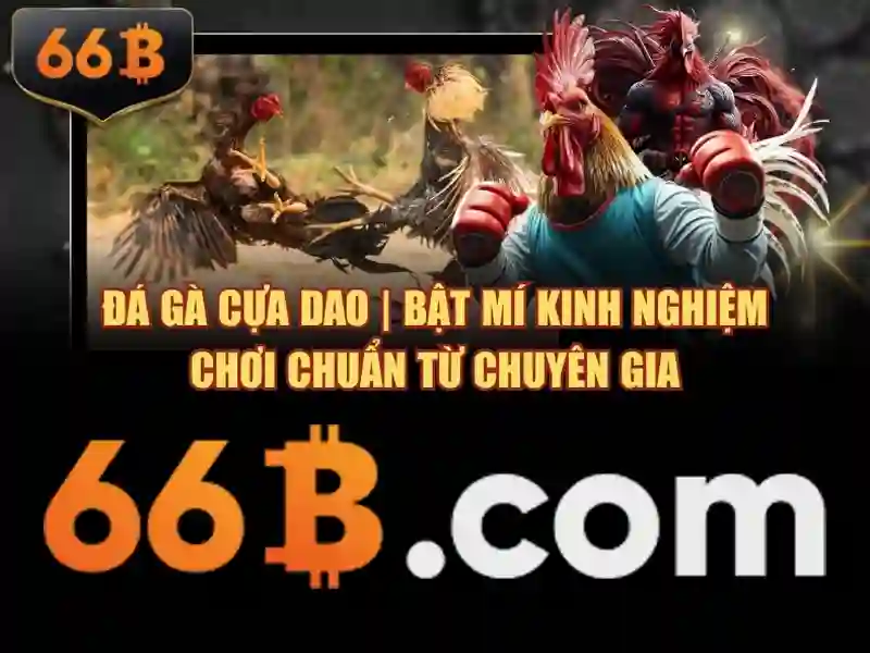 66B – Hướng Dẫn Nhập Code 66B Tận Hưởng Ưu Đãi Slot 2026