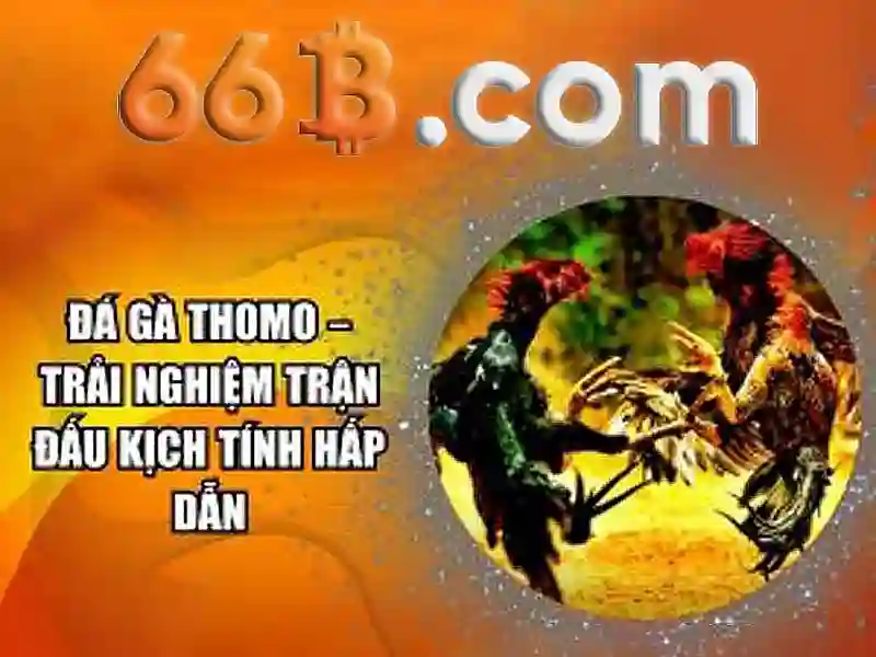 cờ vua 66b