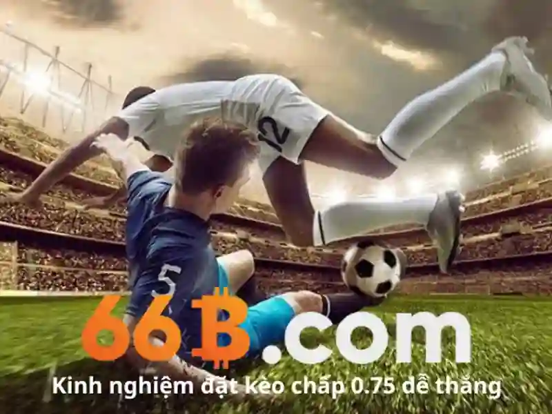 Chính Sách Chăm Sóc Khách Hàng 66B