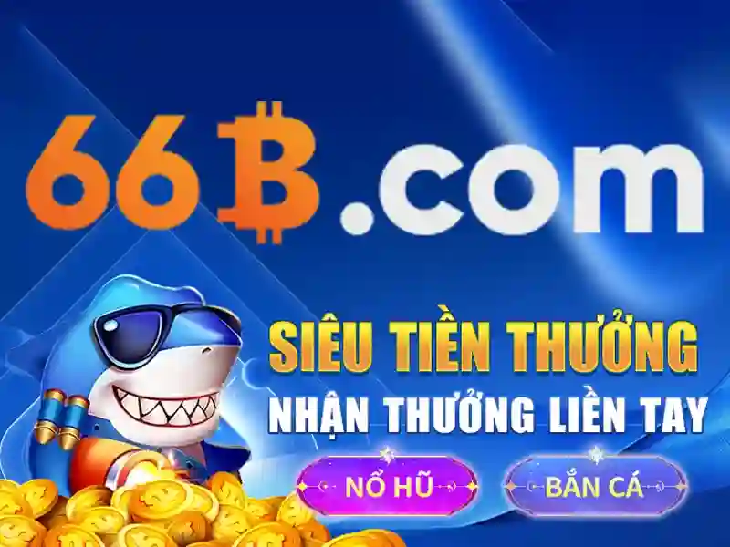 Điều Khoản Và Điều Kiện 66B